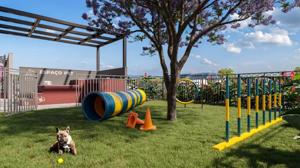 Apartamento 2 quartos 1 banheiro 46m²