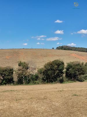 Fazenda 3 quartos 3 banheiros 97ha
