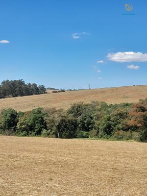 Fazenda 3 quartos 3 banheiros 97ha