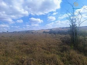 Fazenda 3 quartos 1 banheiro 55ha