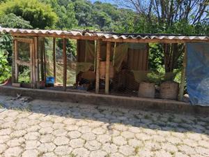 Sítio 4 quartos 10 vagas 135m²