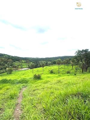 Lote-Área-Terreno 20000m²