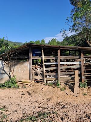 Sítio 4 quartos 2 banheiros 22ha
