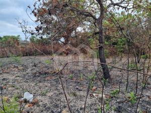 Lote-Área-Terreno 720m²