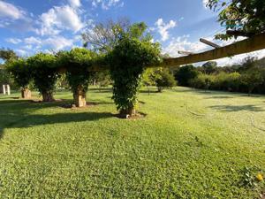 Sítio 4 quartos 5 banheiros 17ha