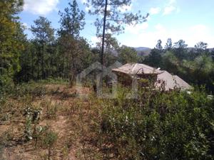 Lote-Área-Terreno 1470m²