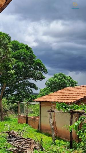 Fazenda 3 quartos 1 banheiro 50ha