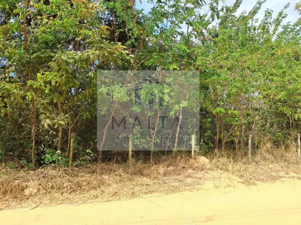 Lote-Área-Terreno 50000m²