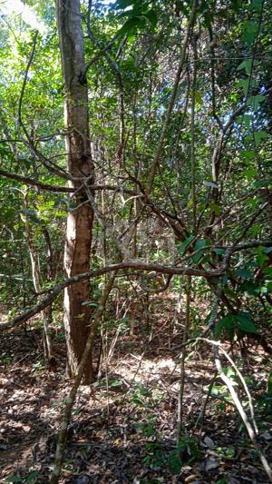 Fazenda 3 quartos 10 vagas 90000ha