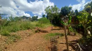 Lote-Área-Terreno 1m²