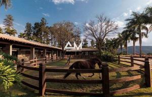 Apartamento 800m²