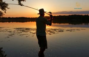 Lote-Área-Terreno 360m²