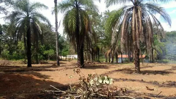 Lote-Área-Terreno 1,2m²