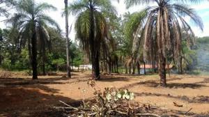 Lote-Área-Terreno 1,2m²