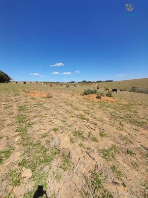 Fazenda 3 quartos 3 banheiros 97ha