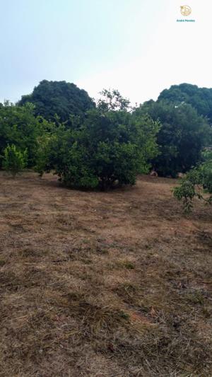 Fazenda 3 quartos 1 banheiro 50ha