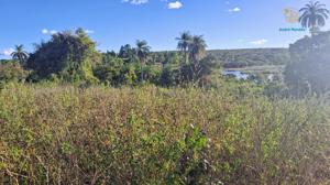 Fazenda 3 quartos 1 banheiro 50ha