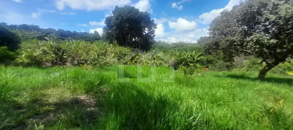 Lote-Área-Terreno 2500m²