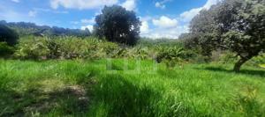 Lote-Área-Terreno 2500m²