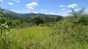 Lote-Área-Terreno 1m²