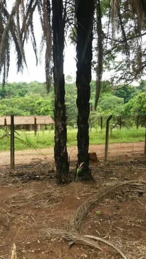 Lote-Área-Terreno 1,2m²