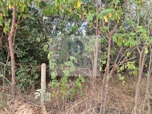 Lote-Área-Terreno 50000m²