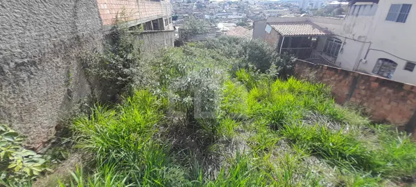 Lote-Área-Terreno 360m²