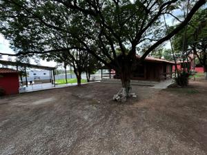 Sítio 3 quartos 240m²
