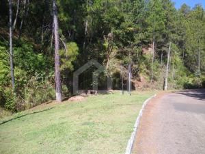 Lote-Área-Terreno 1470m²
