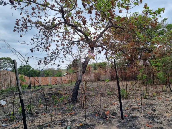 Lote-Área-Terreno 720m²