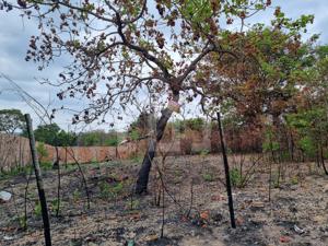 Lote-Área-Terreno 720m²