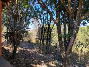 Apartamento 3 quartos 1 banheiro 22770m²