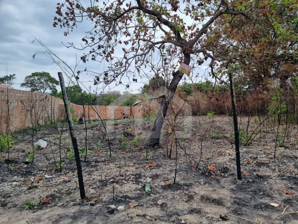 Lote-Área-Terreno 720m²