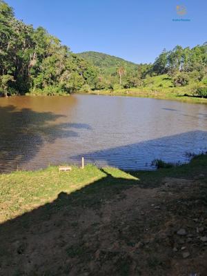 Sítio 4 quartos 2 banheiros 22ha
