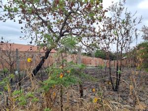 Lote-Área-Terreno 720m²