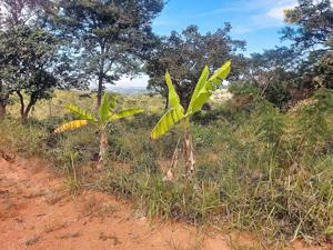 Lote-Área-Terreno 360m²