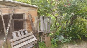 Casa 1 quarto 360m²