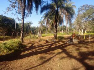 Lote-Área-Terreno 1,2m²