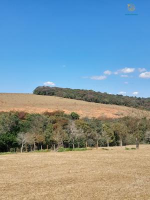 Fazenda 3 quartos 3 banheiros 97ha