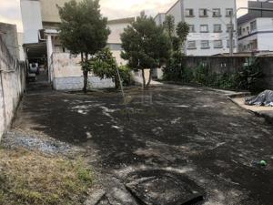 Lote-Área-Terreno 3 quartos 2 banheiros 420m²
